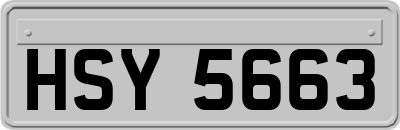 HSY5663