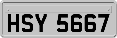 HSY5667
