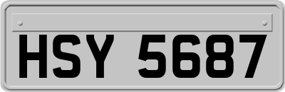 HSY5687