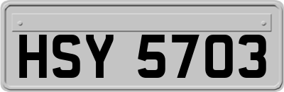 HSY5703