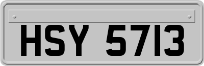 HSY5713