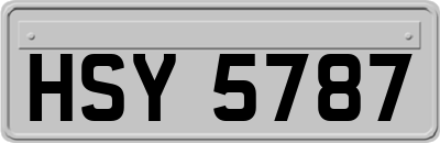 HSY5787