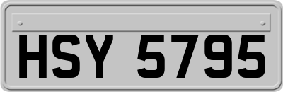 HSY5795
