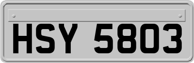 HSY5803