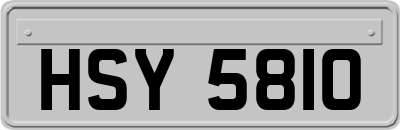 HSY5810