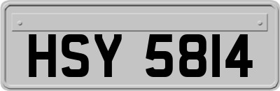 HSY5814