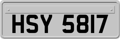 HSY5817