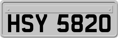 HSY5820
