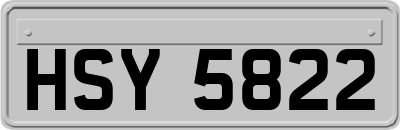 HSY5822