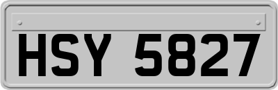 HSY5827
