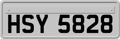 HSY5828