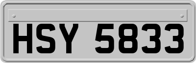 HSY5833