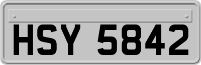 HSY5842
