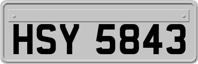 HSY5843