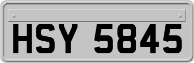 HSY5845