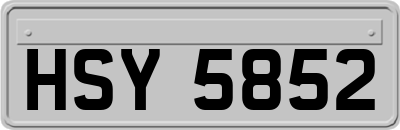 HSY5852