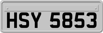 HSY5853