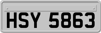 HSY5863