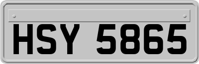 HSY5865