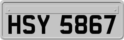 HSY5867