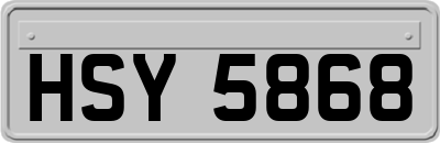 HSY5868
