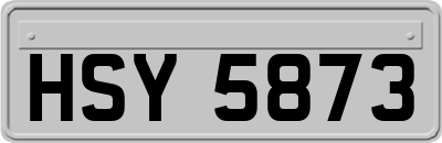 HSY5873