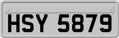 HSY5879
