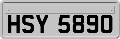 HSY5890