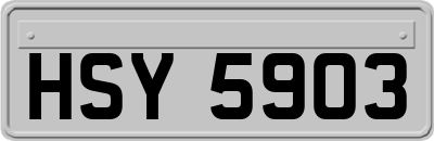 HSY5903