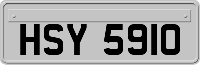 HSY5910