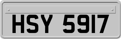HSY5917