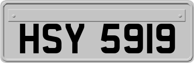 HSY5919