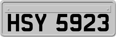 HSY5923