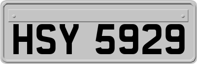 HSY5929
