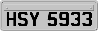 HSY5933