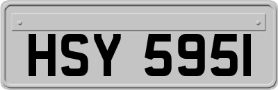 HSY5951