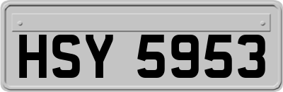 HSY5953