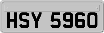 HSY5960