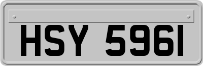 HSY5961