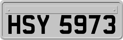 HSY5973