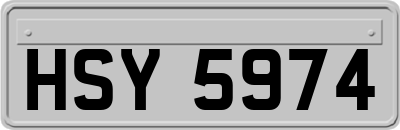 HSY5974