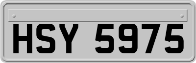 HSY5975