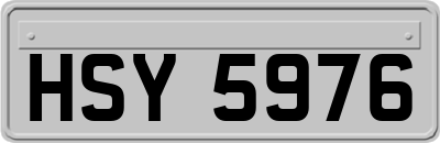 HSY5976