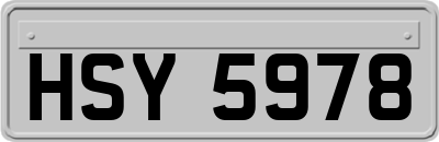 HSY5978