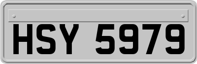HSY5979