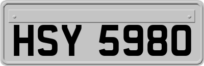 HSY5980