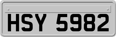 HSY5982