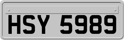 HSY5989