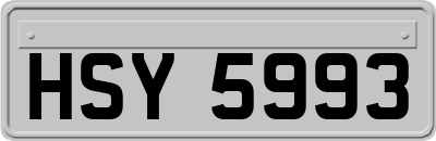 HSY5993