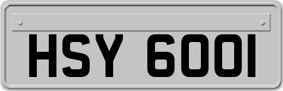 HSY6001